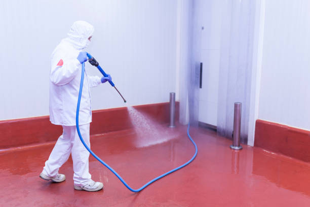 Best Paint Preparation  in Tanaina, AK